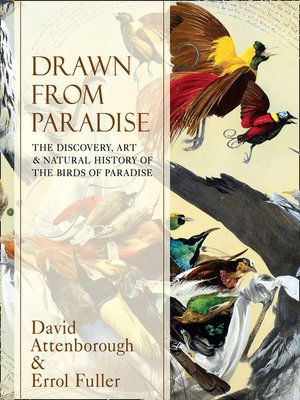 cover image of Drawn From Paradise